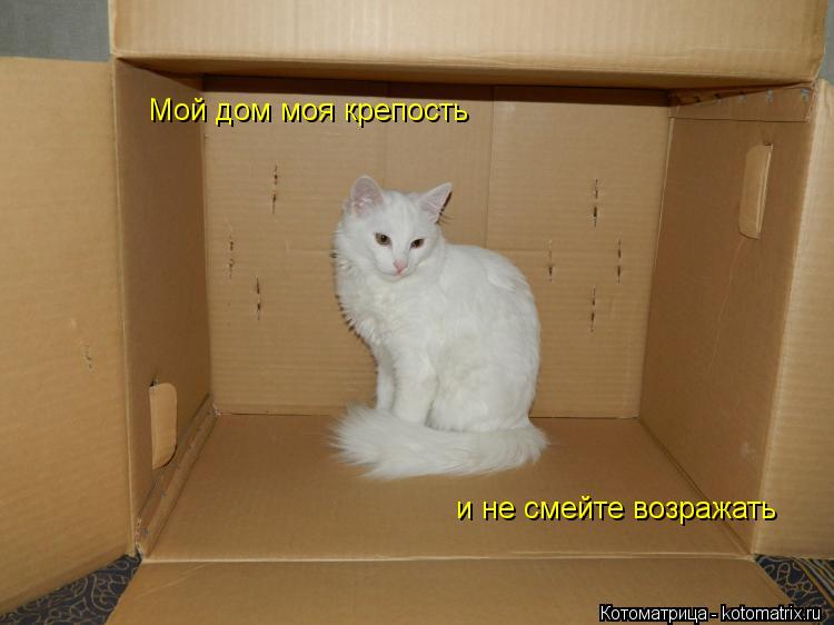 Мой дом моя крепость и не смейте возражать... Котоматрица: Мой дом моя крепость и не смейте возражать