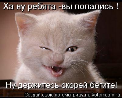 Котоматрица: Ха ну ребята -вы попались ! Ну держитесь скорей бегите!