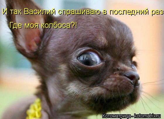 Котоматрица: И так Василий спрашиваю в последний раз Где моя колбоса?!