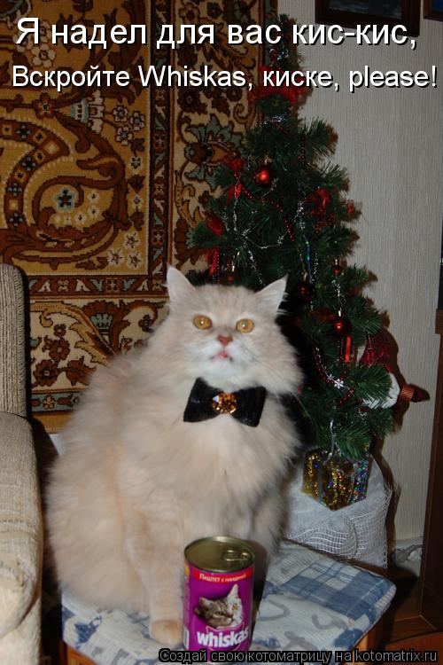 Я надел для вас кис-кис, Вскройте Whiskas, киске, please!... Котоматрица: Я надел для вас кис-кис, Вскройте Whiskas, киске, please!