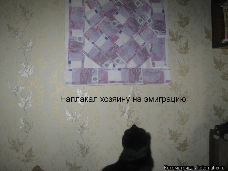 Наплакал хозяину на эмиграцию... Котоматрица: Наплакал хозяину на эмиграцию