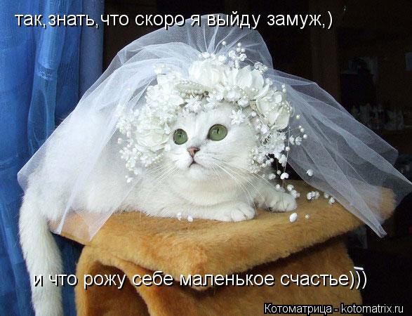 так,знать,что скоро я выйду замуж,) и что рожу себе маленькое счастье)))... Котоматрица: так,знать,что скоро я выйду замуж,) и что рожу себе маленькое счастье)))