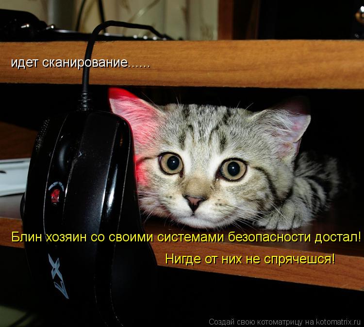 идет сканирование...... Блин хозяин со своими системами безопасности достал! Нигде от них не спрячешс... Котоматрица: идет сканирование...... Блин хозяин со своими системами безопасности достал! Нигде от них не спрячешся!