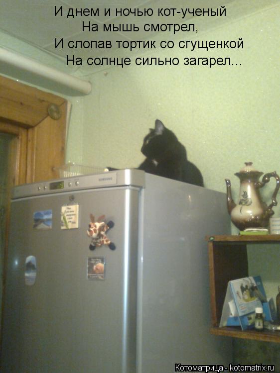 Котоматрица: И днем и ночью кот-ученый На мышь смотрел, И слопав тортик со сгущенкой На солнце сильно загарел...