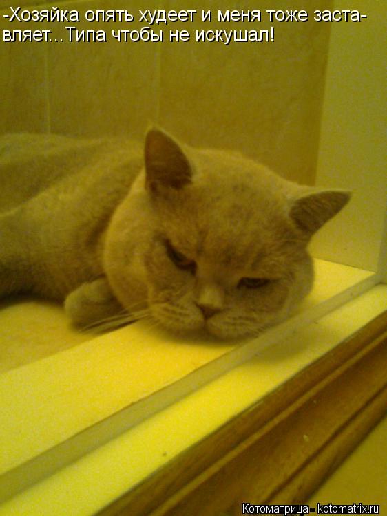 Котоматрица: -Хозяйка опять худеет и меня тоже заста- вляет...Типа чтобы не искушал!