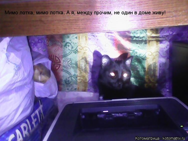 Котоматрица: Мимо лотка, мимо лотка. А я, между прочим, не один в доме живу!