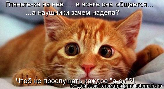 Гляньте-ка на неё......в аське она общается... ...а наушники зачем надела? Чтоб не прослушать каждое... Котоматрица: Гляньте-ка на неё......в аське она общается... ...а наушники зачем надела? Чтоб не прослушать каждое "а-оу"?!