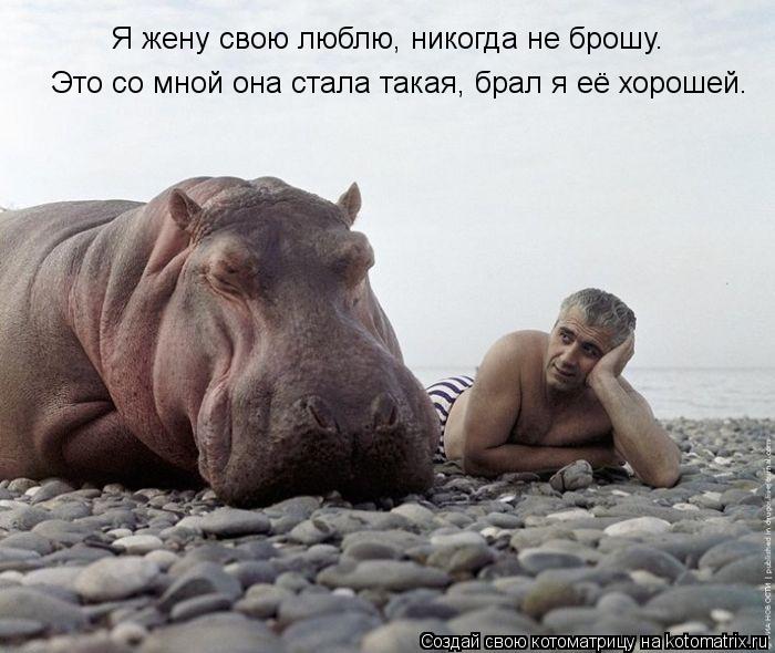 Я жену свою люблю, никогда не брошу. Это со мной она стала такая, брал я её хорошей.... Котоматрица: Я жену свою люблю, никогда не брошу. Это со мной она стала такая, брал я её хорошей.