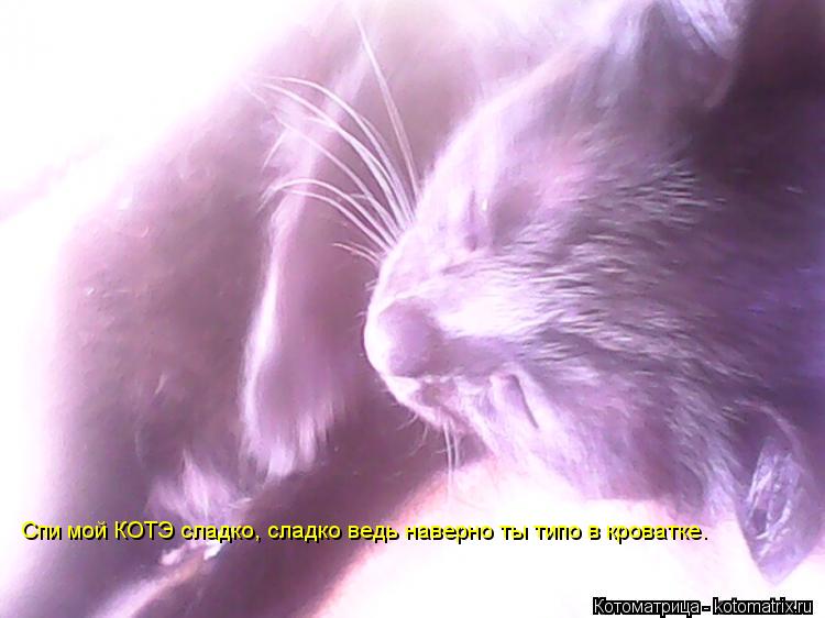 Спи мой КОТЭ сладко, сладко ведь наверно ты типо в кроватке.... Котоматрица: Спи мой КОТЭ сладко, сладко ведь наверно ты типо в кроватке.