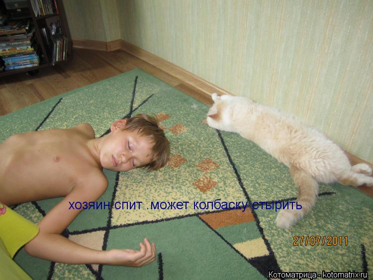 Котоматрица: хозяин спит .может колбаску стырить