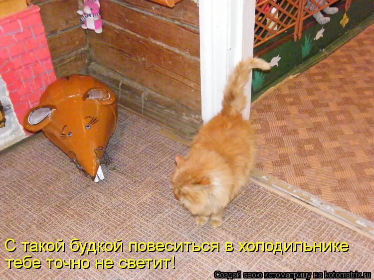 С такой будкой повеситься в холодильнике тебе точно не светит!... Котоматрица: С такой будкой повеситься в холодильнике тебе точно не светит!