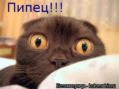 Котоматрица: Пипец!!!