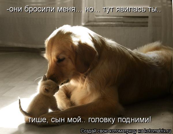 Котоматрица: -они бросили меня... но... тут явилась ты.. тише, сын мой.. головку подними!