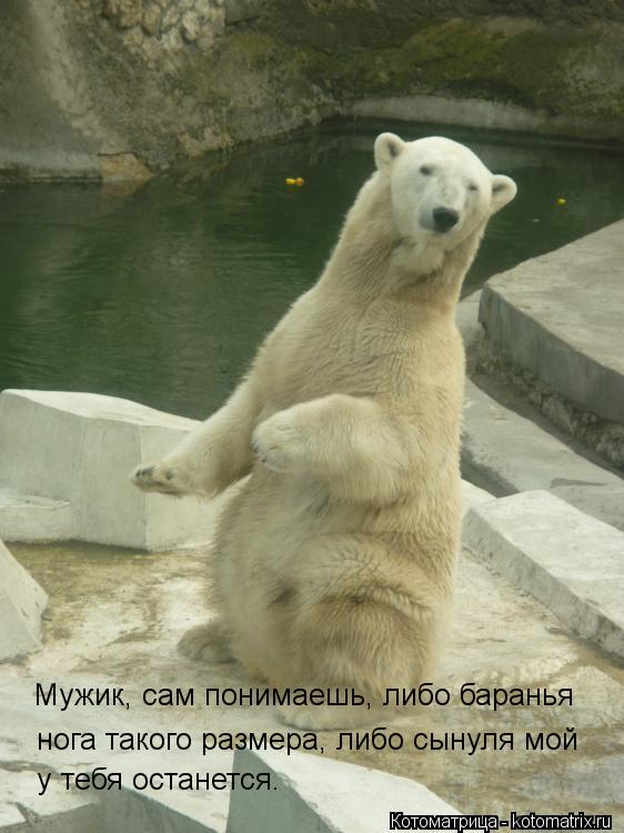 Котоматрица: Мужик, сам понимаешь, либо баранья нога такого размера, либо сынуля мой у тебя останется.