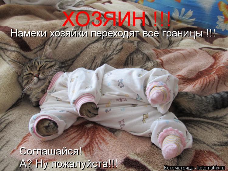 ХОЗЯИН !!! Намеки хозяйки переходят все границы !!! Соглашайся! А? Ну пожалуйста!!!... Котоматрица: ХОЗЯИН !!! Намеки хозяйки переходят все границы !!! Соглашайся! А? Ну пожалуйста!!!