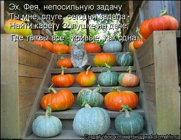 Котоматрица: Эх, Фея, непосильную задачу Ты мне, слуге, сегодня задала: Найти карету Золушке на даче, Где тыквы все - кривые, как одна...