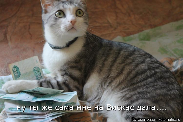 ну ты же сама мне на Вискас дала....... Котоматрица: ну ты же сама мне на Вискас дала....