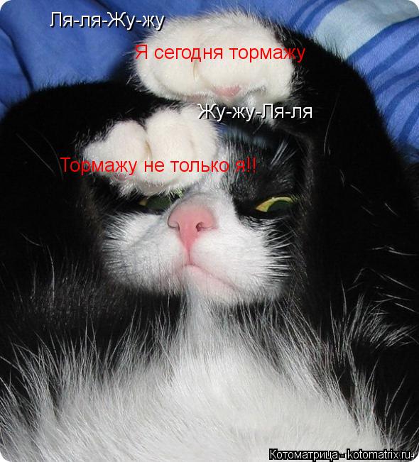 Ля-ля-Жу-жу Я сегодня тормажу Жу-жу-Ля-ля Тормажу не только я!!... Котоматрица: Ля-ля-Жу-жу Я сегодня тормажу Жу-жу-Ля-ля Тормажу не только я!!