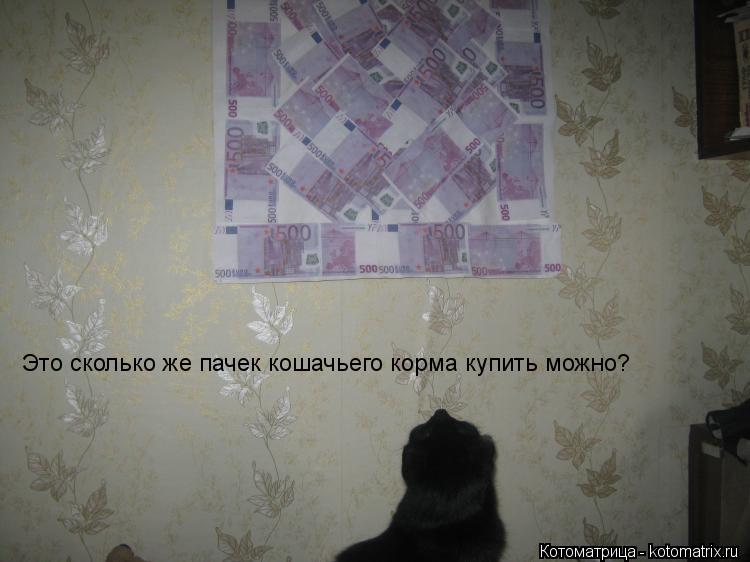 Котоматрица: Это сколько же пачек кошачьего корма купить можно?
