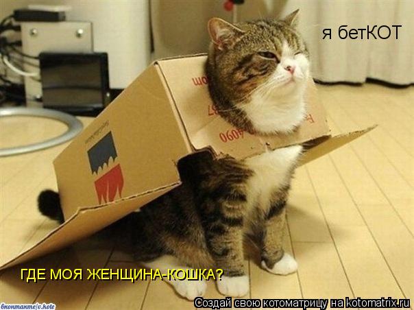 Котоматрица: я бетКОТ ГДЕ МОЯ ЖЕНЩИНА-КОШКА?