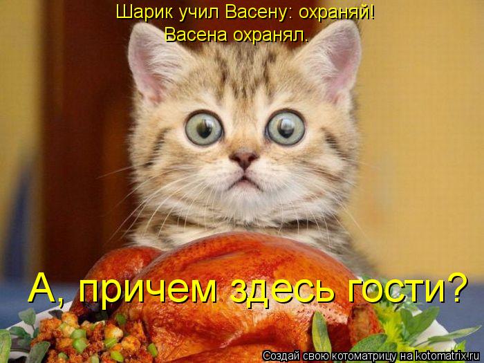 Котоматрица: Шарик учил Васену: охраняй! Васена охранял. А, причем здесь гости?