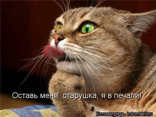 Котоматрица: Оставь меня, старушка, я в печали!