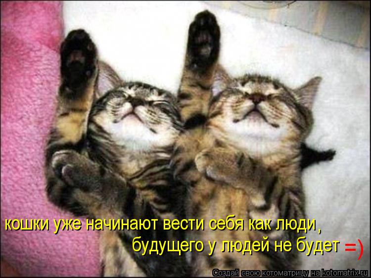 Котоматрица: кошки уже начинают вести себя как люди будущего у людей не будет , =)