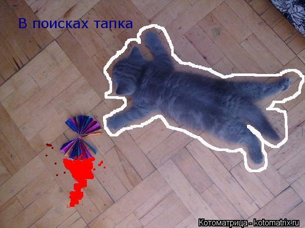 Котоматрица: В поисках тапка