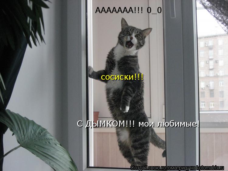 ААААААА!!! 0_0 С ДЫМКОМ!!! мои любимые! сосиски!!!... Котоматрица: ААААААА!!! 0_0 С ДЫМКОМ!!! мои любимые! сосиски!!!