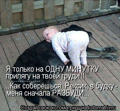 Котоматрица: Я только на ОДНУ МИНУТКУ прилягу на твоей груди!!! ................. ...Как соберёшься, Рексик, в будку - меня сначала РАЗБУДИ...