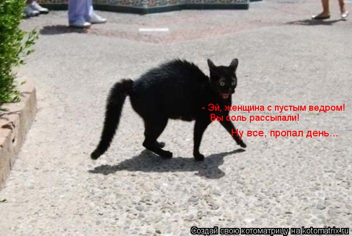 Котоматрица: - Эй, женщина с пустым ведром! Вы соль рассыпали! Ну все, пропал день...