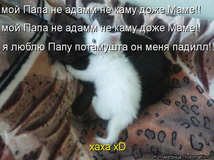 Котоматрица: мой Папа не адамм не каму доже Маме!! мой Папа не адамм не каму доже Маме!! я люблю Папу потамушта он меня падилл!! xaxa xD xaxa xD