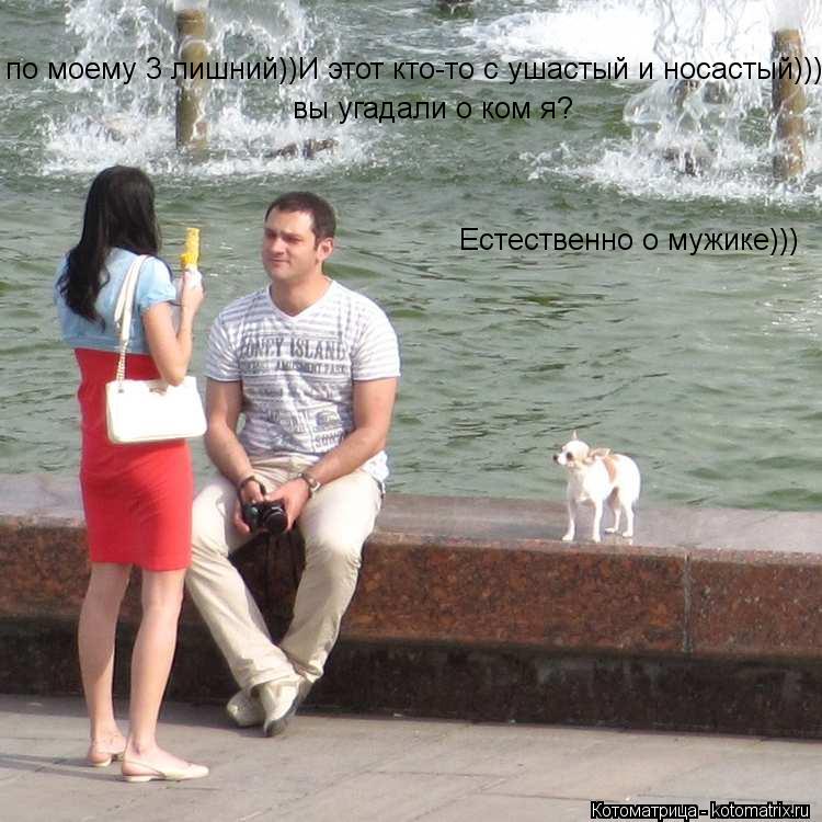 Котоматрица: по моему 3 лишний))И этот кто-то с ушастый и носастый)))! вы угадали о ком я? Естественно о мужике)))