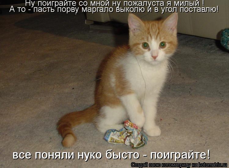 Котоматрица: все поняли нуко бысто - поиграйте! Ну поиграйте со мной ну пожалуста я милый ! А то - пасть порву маргало выколю и в угол поставлю!