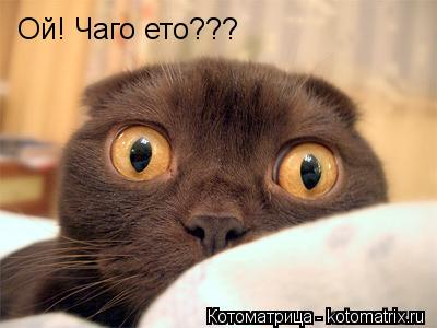 Котоматрица: Ой! Чаго ето???