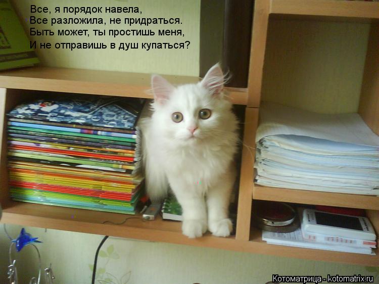 Котоматрица: Все, я порядок навела, Все разложила, не придраться. Быть может, ты простишь меня, И не отправишь в душ купаться?