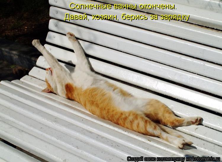 Солнечные ванны окончены. Давай, хозяин, берись за зарядку... Котоматрица: Солнечные ванны окончены. Давай, хозяин, берись за зарядку