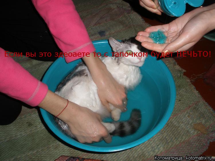 Котоматрица: Если вы это здеоаете то с тапочком будет НЕЧЬТО!