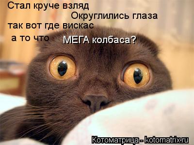 Котоматрица: Стал круче взляд Округлились глаза так вот где вискас а то что МЕГА колбаса?