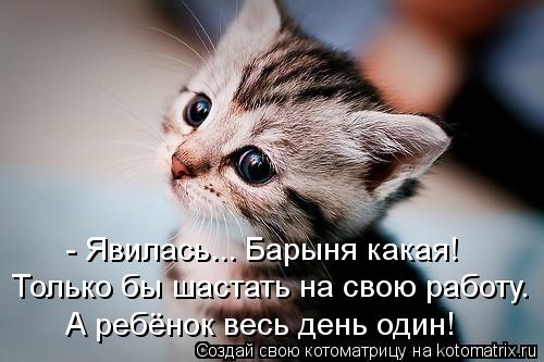 Котоматрица: - Явилась... Барыня какая! Только бы шастать на свою работу. А ребёнок весь день один!