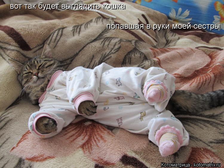 вот так будет выглядить кошка попавшая в руки моей сестры вот так будет выглядить кошка попавшая в ... Котоматрица: вот так будет выглядить кошка попавшая в руки моей сестры вот так будет выглядить кошка попавшая в руки моей сестры