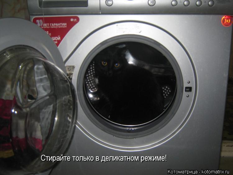 Котоматрица: Стирайте только в деликатном режиме!