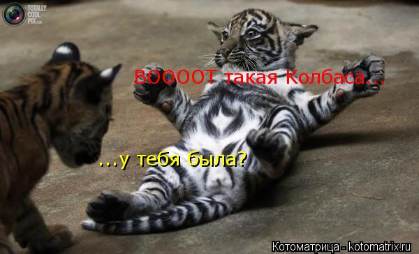 ВООООТ такая Колбаса... ...у тебя была?... Котоматрица: ВООООТ такая Колбаса... ...у тебя была?