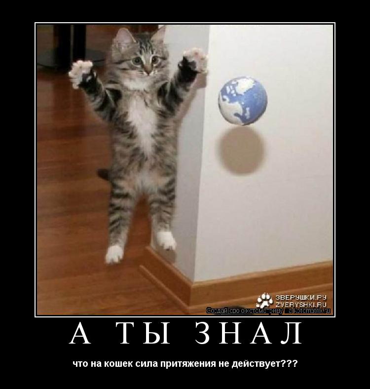 А ТЫ ЗНАЛ что на кошек сила притяжения не действует???... Котоматрица: А ТЫ ЗНАЛ что на кошек сила притяжения не действует???