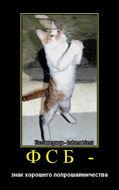 Котоматрица: ФСБ - знак хорошего попрошайничества