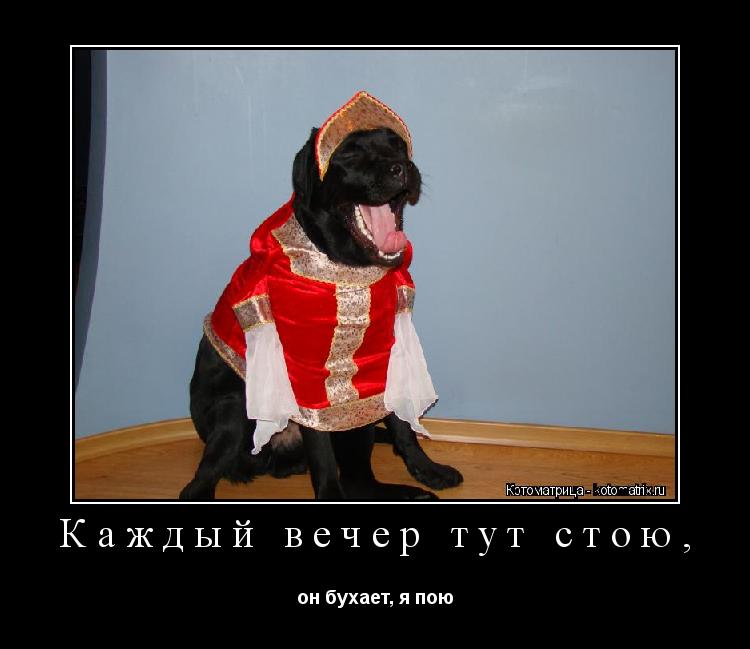 Котоматрица: Каждый вечер тут стою, он бухает, я пою