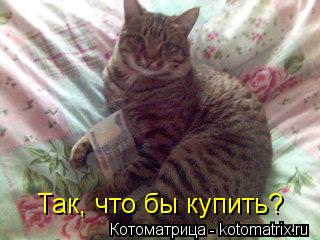 Котоматрица: Так, что бы купить?