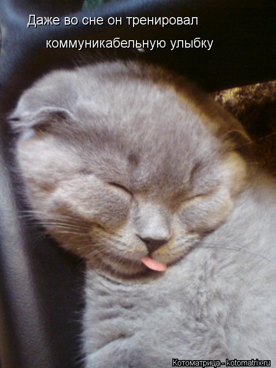 Даже во сне он тренировал коммуникабельную улыбку... Котоматрица: Даже во сне он тренировал коммуникабельную улыбку