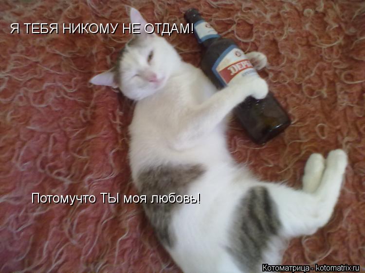 Котоматрица: Я ТЕБЯ НИКОМУ НЕ ОТДАМ! Потомучто ТЫ моя любовь!
