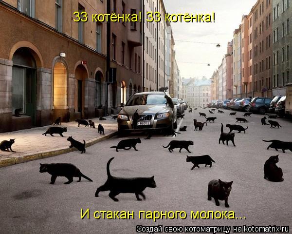 Котоматрица: 33 котёнка! 33 котёнка! И стакан парного молока...